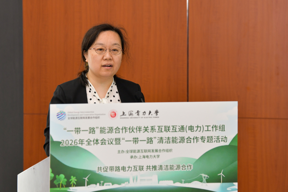 “一带一路”能源合作伙伴关系互联互通（电力）工作组2026年全体会议暨专题研讨会在我校举办
