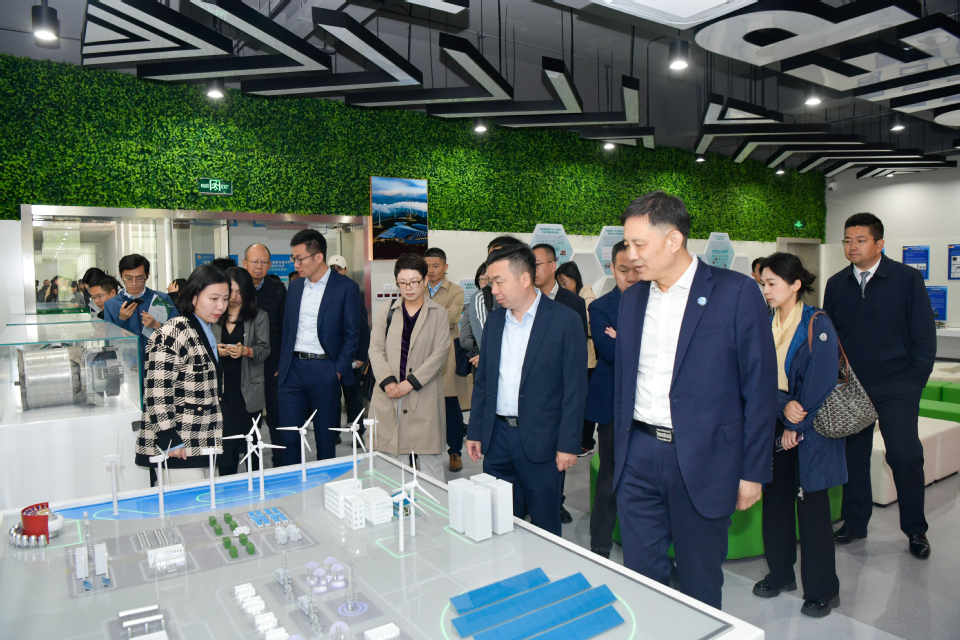 “一带一路”能源合作伙伴关系互联互通（电力）工作组2026年全体会议暨专题研讨会在我校举办