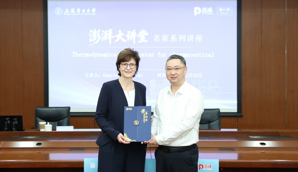 德国国家工程院院士Gabriele Sadowski教授做客我校澎湃大讲堂